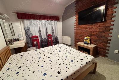 Apartament 2 camere zona Porii - 3