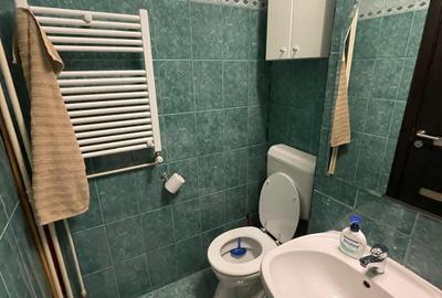 Garsonieră decomandată, mobilată în Tineretului - 18