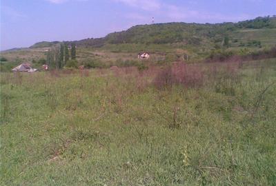 Teren de 3353 mp, în Ștefănești - 3