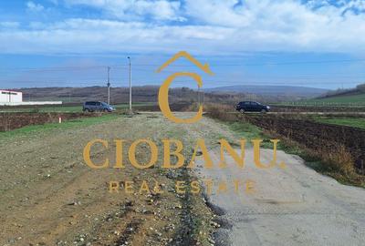 Hala de vanzare in Racari de Jos - 15