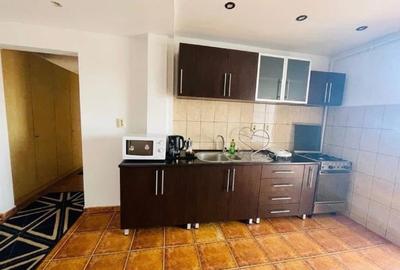 Apartament cu 3 camere decomandat, mobilat în Lipovei - 6