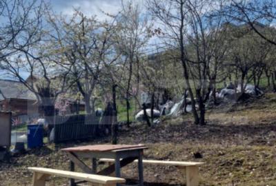 Teren de 2500 mp, în Viișoara