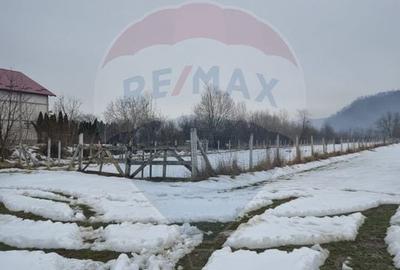 Teren Construcții intravilan de 2486 mp, în Sud - 2