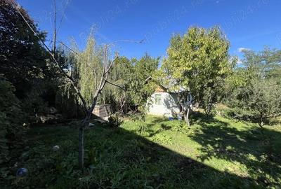 Casă cu 6 camere cu Teren 2000 Mp în Central