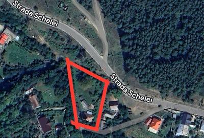 Casa+teren in Moinesti - 3