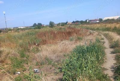Teren în Broșteni - 1