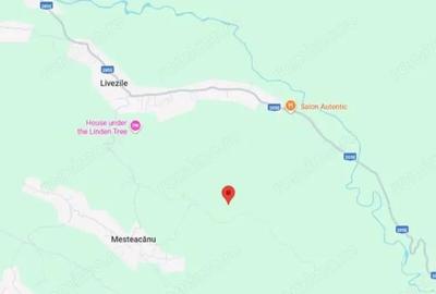 Teren Faneata extravilan, Vizantea Livezi, ID: R2800539 - 7