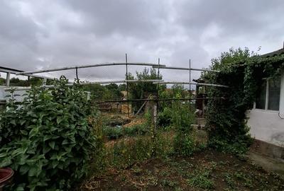 Giarmata – Teren Constructii – Vatra Satului - 3