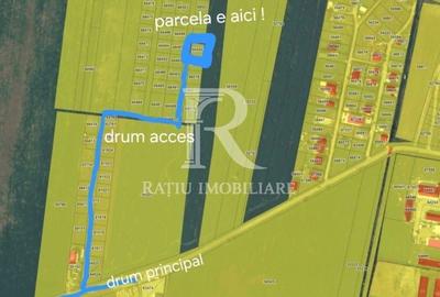 Teren de 500 mp, în Nojorid - 2