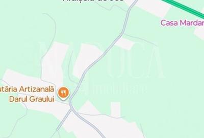 Teren agricol extravilan de 5200 mp, în Hidișelu de Sus - 2