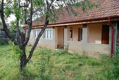 Casă cu Teren 2580 Mp în Teiu - 2