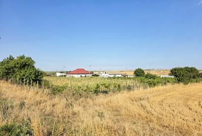 Ferma de vanzare – Oportunitate unica la doar 20 de minute de Constanta! - 2