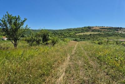 Teren de 5000 mp, în Hamba - 2