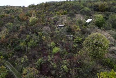 Teren 18,300mp Ghioroc - 6