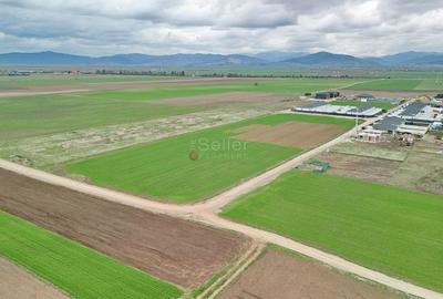 Teren intravilan - 15