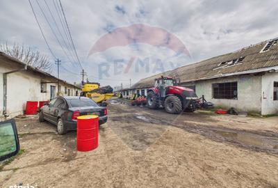 Spațiu comercial, de 7,850 mp, în Lehliu - 10