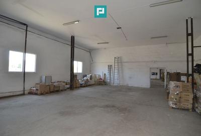 Teren intravilan 6.555 mp cu hală industrială - 4