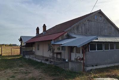 Casă cu 4 camere cu Teren 8700 Mp în Central - 4