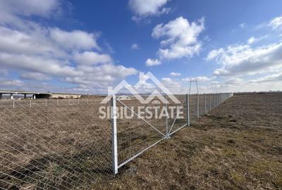 Teren agricol extravilan de 4260 mp, în Vest - 1