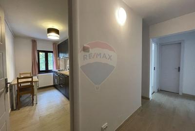 Apartament cu 2 camere decomandat, mobilat în Aviației - 5