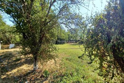 Casa Bila Ghimpati- Giurgiu - 7