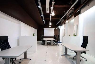 Spațiu comercial, de 715 mp, în Kiseleff - 3