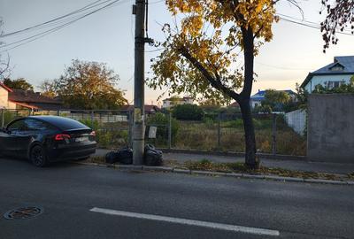 Teren de 1967 mp, în Mărăcineni - 1