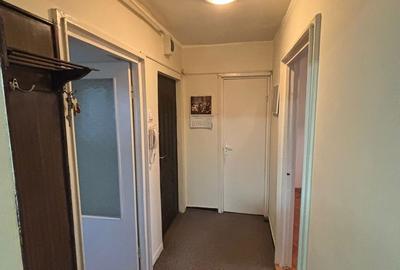 Apartament cu 3 camere semidecomandat în Dâmbu Pietros - 7