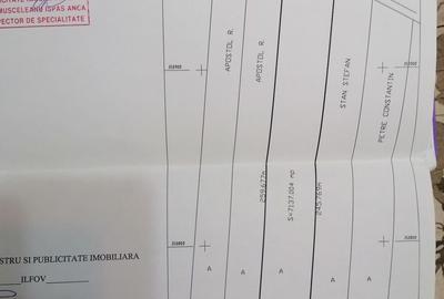 Teren de 7108 mp, în Tâncăbești - 2