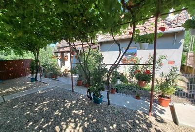 Casă individuală cu 4 camere cu Teren 1439 Mp în Cadea - 16