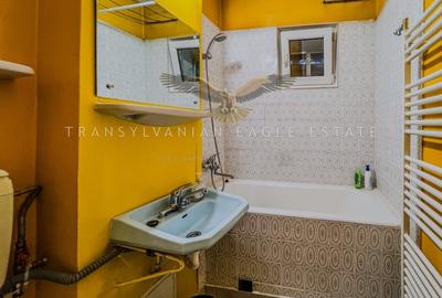 Apartament cu 2 camere semidecomandat, mobilat în Gheorgheni - 11