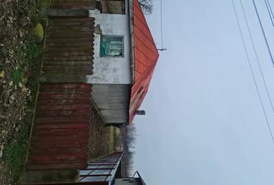 Casă în Garoafa - 6
