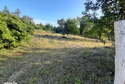 Teren de 410 mp, în Lelese - 14