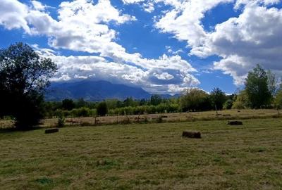 Teren de 9300 mp, în Bran