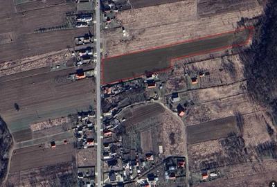 Teren de 13383 mp, în Broșteni - 3
