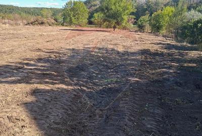 Teren agricol intravilan de 3778 mp, în Brănești - 19