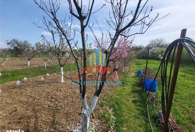 Casă cu 4 camere în Malu - 3