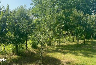 Casă cu 3 camere cu Teren 600 Mp în Crevedia Mare - 16