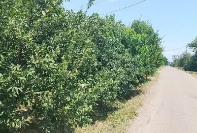 Casă cu 4 camere în Izvoarele