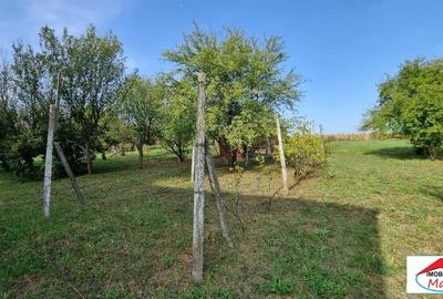 Teren Construcții intravilan de 5700 mp, în Decebal - 9