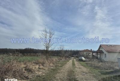 Teren de 540 mp, în Stănișești - 5