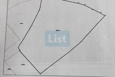 Teren Construcții intravilan de 1061 mp, în Băicoi - 6