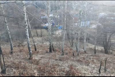 Teren Construcții intravilan de 4300 mp, în Bughea de Sus - 3