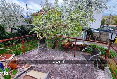 Casă cu 2 camere cu Teren 325 Mp în Valea Roșie - 2