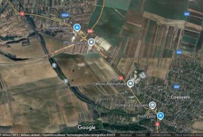 Teren extravilan de 5000 mp, în Coșoveni - 1