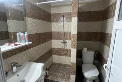 Garsonieră decomandată în Craiovița Nouă - 1