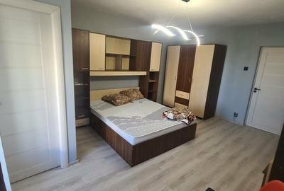 Garsonieră în Brazda lui Novac - 1