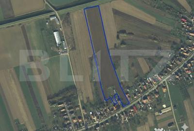 Teren de 27958 mp, în Vetiș - 1