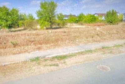 Spațiu comercial, în Crevedia - 3