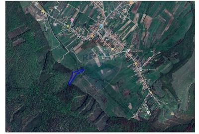 Teren agricol intravilan de 9465 mp, în Betfia - 3